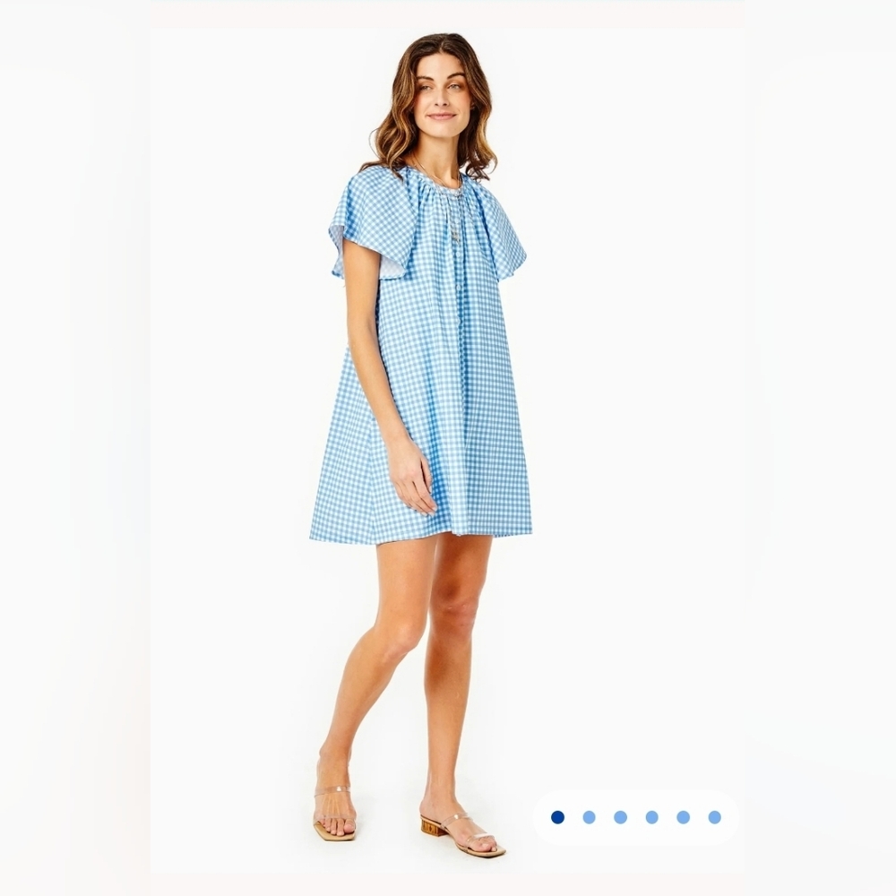 ADDISON BAY Rosecliff Dress Gingham Cotton Poplin Size Small